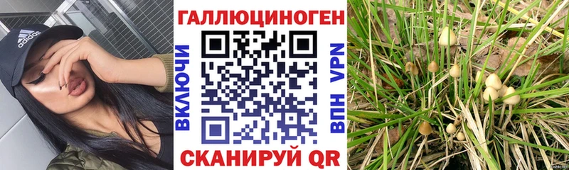 наркошоп  ОМГ ОМГ онион  Галлюциногенные грибы Cubensis  Пыталово 