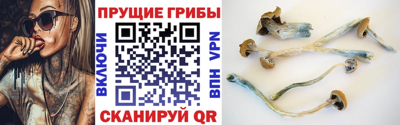Псилоцибиновые грибы GOLDEN TEACHER Пыталово